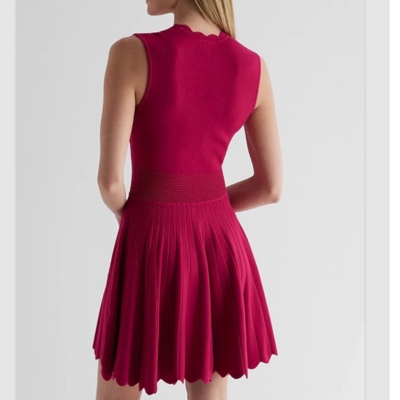 NWT Express Sleeveless Fit & Flare Sweater Tank Dress Pleat Look Red Wine Sm - Picture 2 of 4